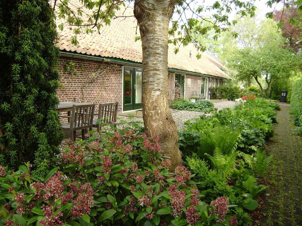 Bed & Breakfast Uiterburen Zuidbroek Dış mekan fotoğraf