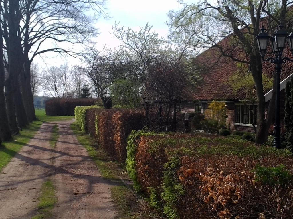 Bed & Breakfast Uiterburen Zuidbroek Dış mekan fotoğraf